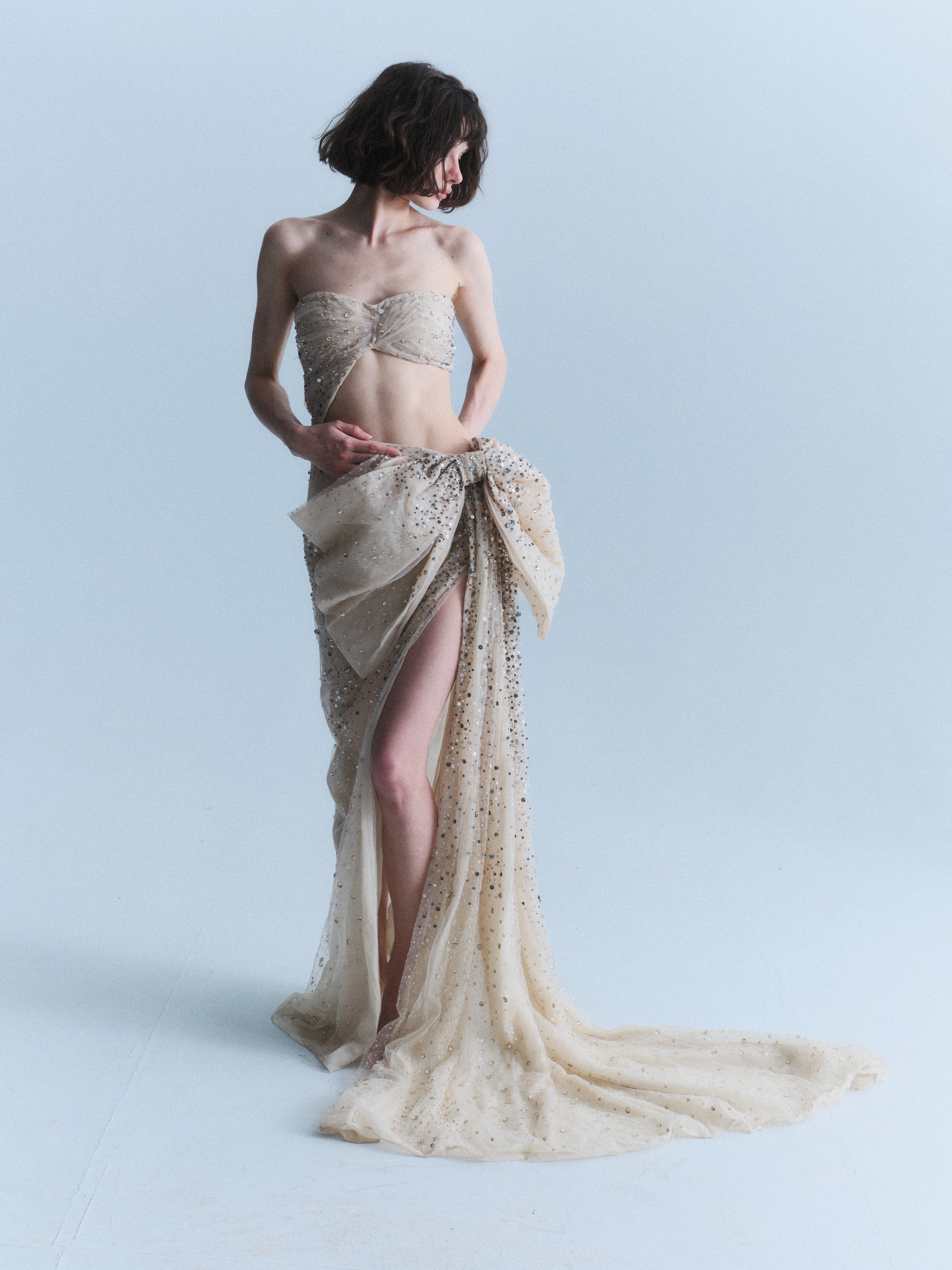 Alberta Ferretti Limited Edition 2011 Gown