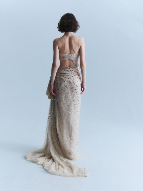 Alberta Ferretti Limited Edition 2011 Gown